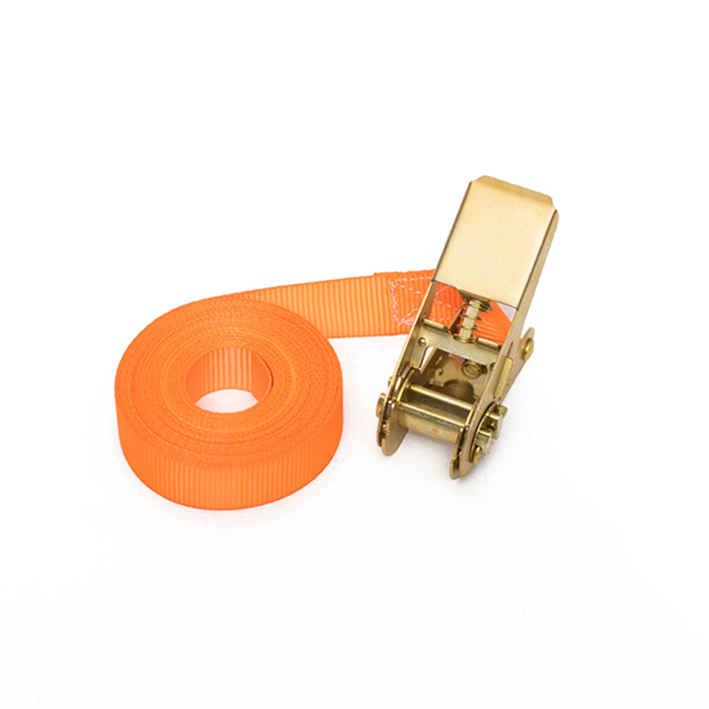 1 pouce 25 mm * 500 kg / 800 kg Sangle à cliquet sans fin