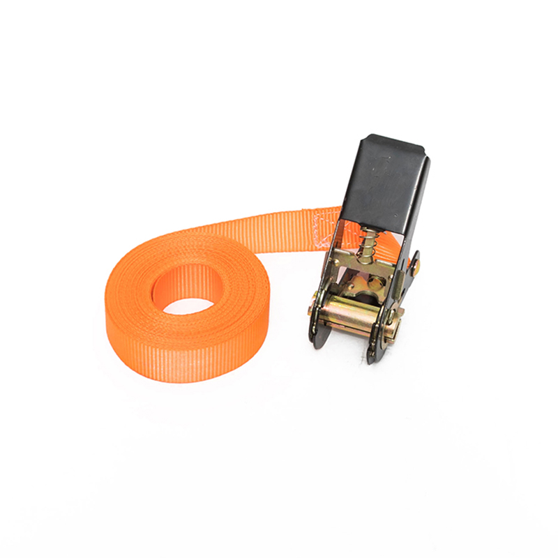 1 pouce 25 mm * 500 kg / 800 kg Sangle à cliquet sans fin